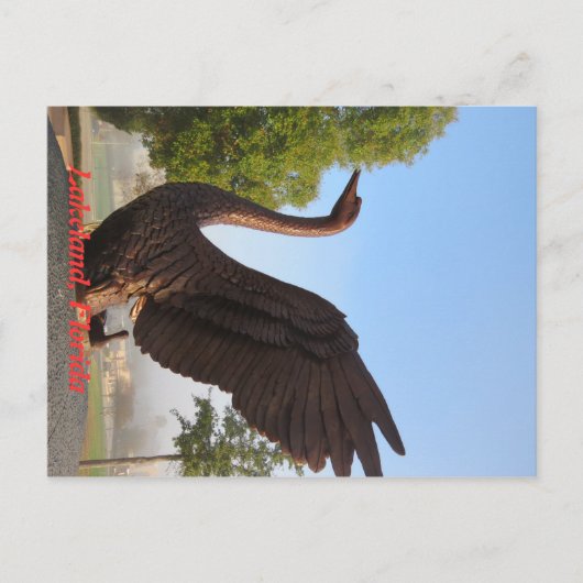 Swan in Flight Lakeland, Florida Postkarte (Vorderseite)