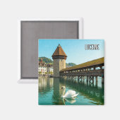Swan in Luzern Schweiz Reise Magnet (Vorderseite/Rückseite)