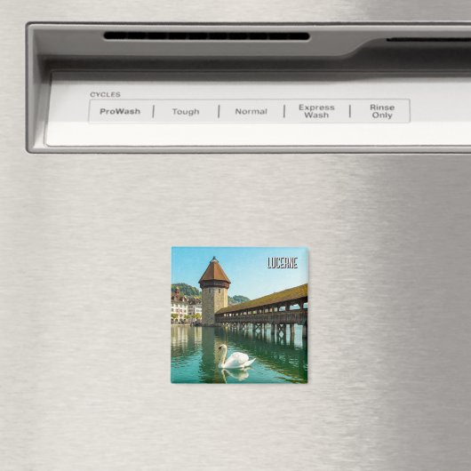 Swan in Luzern Schweiz Reise Magnet (In Situ (Geschirrspüler))