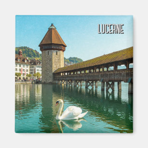 Swan in Luzern Schweiz Reise Magnet