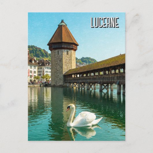 Swan in Luzern Schweiz Reise Postkarte (Vorderseite)