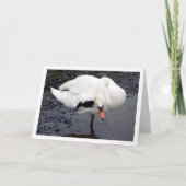 Swan in Salute Pose Karte (Vorderseite)