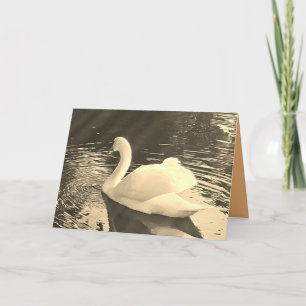 Swan in Sepia Dankeskarte