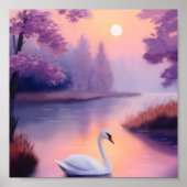 swan in the pond during sunset poster (Vorne)