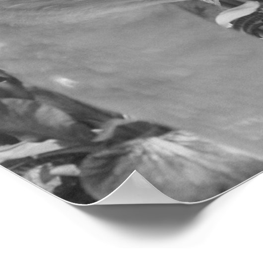 Swan Irises Animal Schwarz-weiß Print Poster (Ecke)