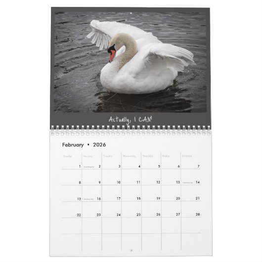 Swan-Kalender 2023 Kalender (Feb 2026)