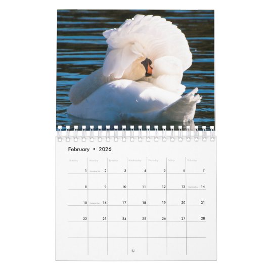 Swan-Kalender 2024 Kalender (Feb 2026)