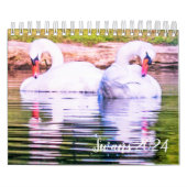 Swan-Kalender 2024 Kalender (Titelbild)