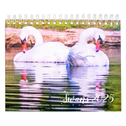 Swan-Kalender 2025 Kalender (Titelbild)