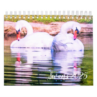 Swan-Kalender 2025 Kalender
