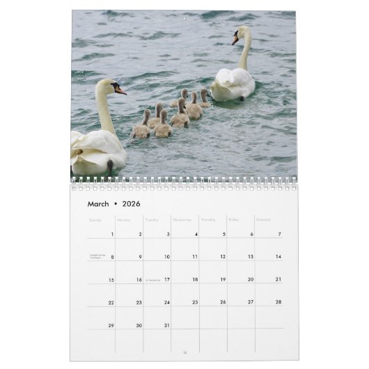 Swan-Kalender 2025 Kalender (Mär 2026)