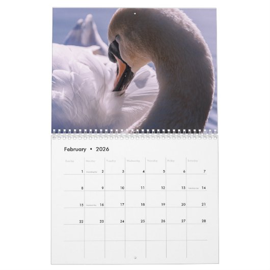Swan-Kalender 2025 Kalender (Feb 2026)