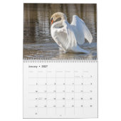 Swan-Kalender 2025 Kalender (Jan 2027)