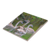 Swan Keramik Tile Fliese (Seite)