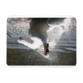 Swan Kühlschrankmagnet Magnet (Horizontal)