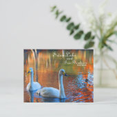 Swan Lake and Iris Gardens, Sumter, SC Postkarte (Stehend Vorderseite)