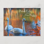 Swan Lake and Iris Gardens, Sumter, SC Postkarte (Vorderseite)