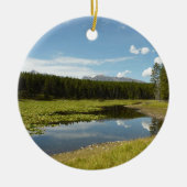 Swan Lake I at Grand Teton National Park Keramik Ornament (Vorne)