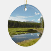 Swan Lake I at Grand Teton National Park Keramik Ornament (Links)