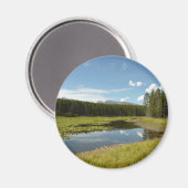 Swan Lake I at Grand Teton National Park Magnet (Vorderseite/Rückseite)