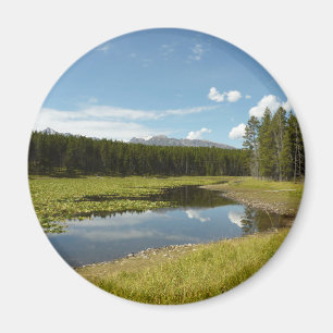 Swan Lake I - Grand Teton Nationalpark Magnet