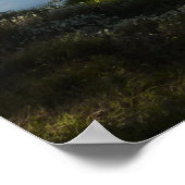 Swan Lake II beim Grand Teton Nationalpark Poster (Ecke)