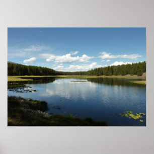 Swan Lake II beim Grand Teton Nationalpark Poster