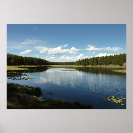 Swan Lake II beim Grand Teton Nationalpark Poster (Vorne)