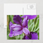 Swan Lake Iris Gardens Postcard Postkarte (Vorne/Hinten)
