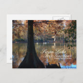 Swan Lake Iris Gardens Postcard Postkarte (Vorne/Hinten)