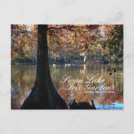 Swan Lake Iris Gardens Postcard Postkarte
