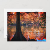 Swan Lake Iris Gardens Postcard Postkarte (Vorne/Hinten)