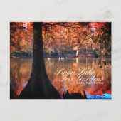 Swan Lake Iris Gardens Postcard Postkarte (Vorderseite)