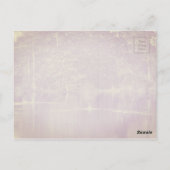 Swan Lake Iris Gardens, Sumter, South Carolina Postkarte (Rückseite)