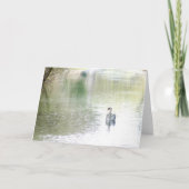 Swan Lake Karte (Vorderseite)