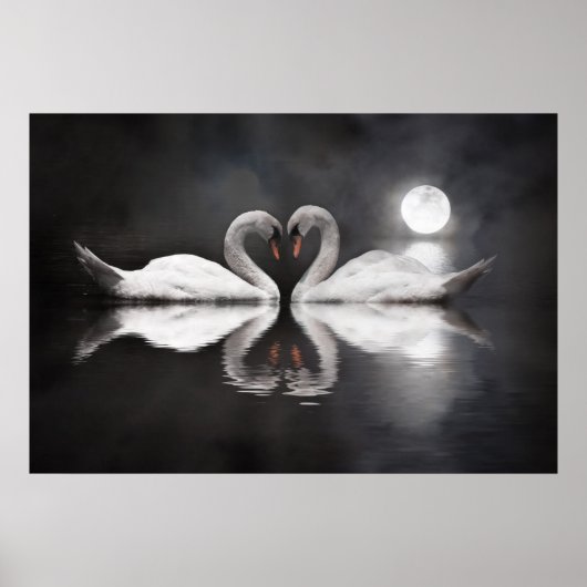 Swan Lake Liebe Poster (Vorne)