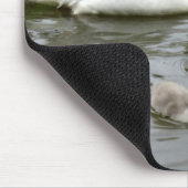 Swan Lake - Mousepad (Ecke)