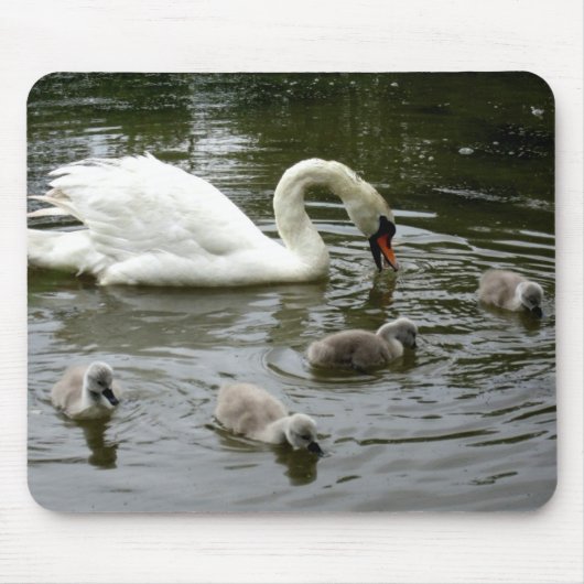 Swan Lake - Mousepad (Vorne)
