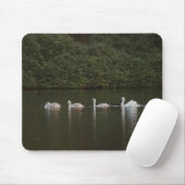 Swan Lake Mousepad (Mit Mouse)
