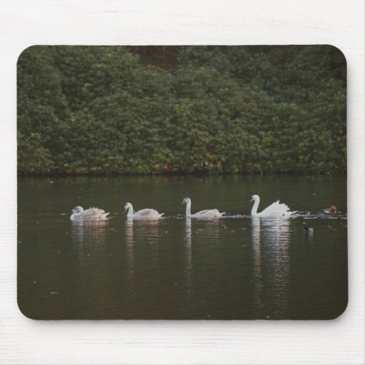 Swan Lake Mousepad (Vorne)