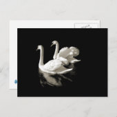 Swan Lake Postcard Postkarte (Vorne/Hinten)