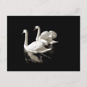 Swan Lake Postcard Postkarte