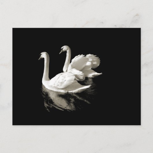 Swan Lake Postcard Postkarte (Vorderseite)