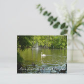 Swan Lake Postkarte (Stehend Vorderseite)