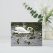 Swan Lake Postkarte (Stehend Vorderseite)