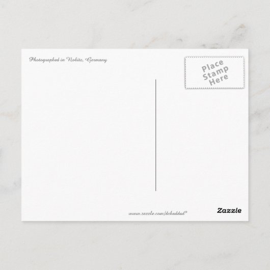 Swan Lake Postkarte (Rückseite)