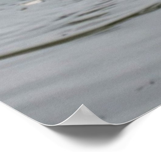 Swan Lake - Print Poster (Ecke)