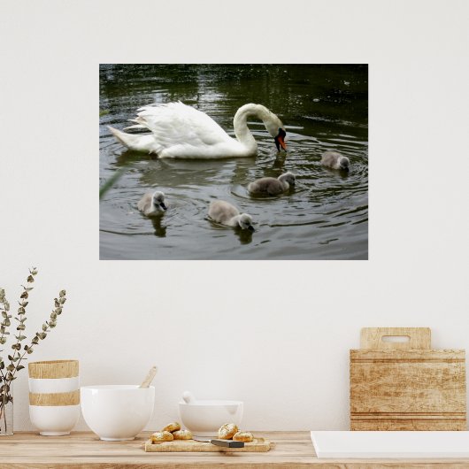 Swan Lake - Print Poster (Küche)