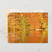 Swan Lake, Sumter SC Postkarte (Vorne/Hinten)