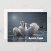 Swan-Liebe- Postkarte (Vorne/Hinten)